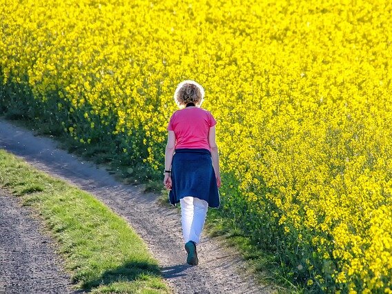 Spaziergang Spaziergang