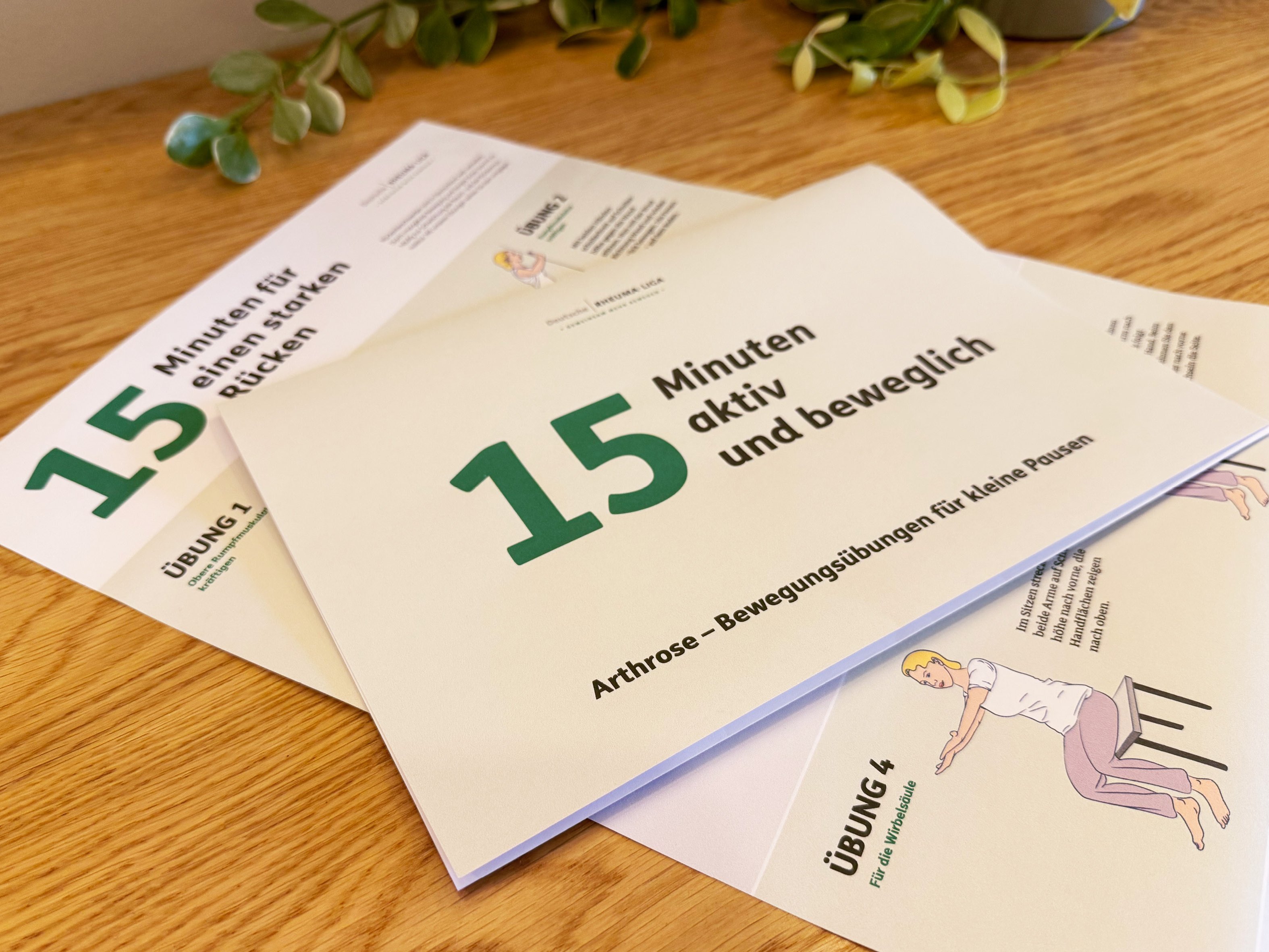 Zwei Bewegungsposter der Deutschen Rheuma-Liga liegen auf einem Tisch.